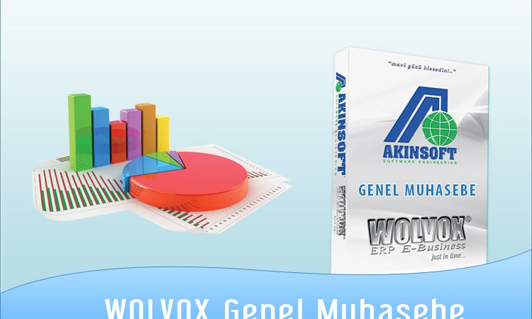AKINSOFT Wolvox Genel Muhasebe 8.02.13